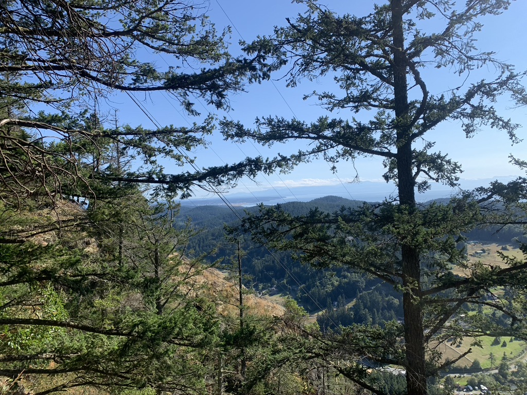 View of the powerlines
