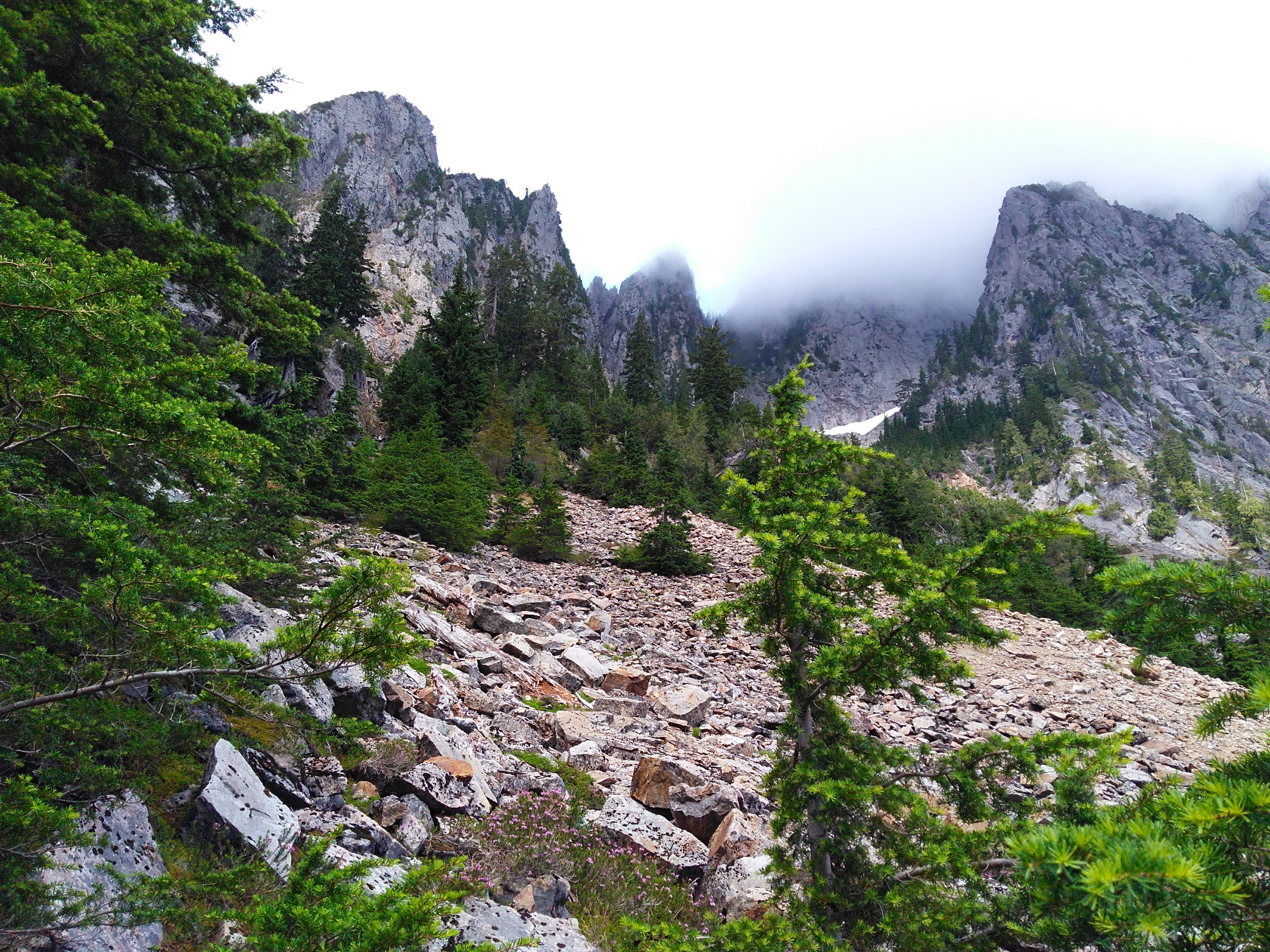 Mountain Talus