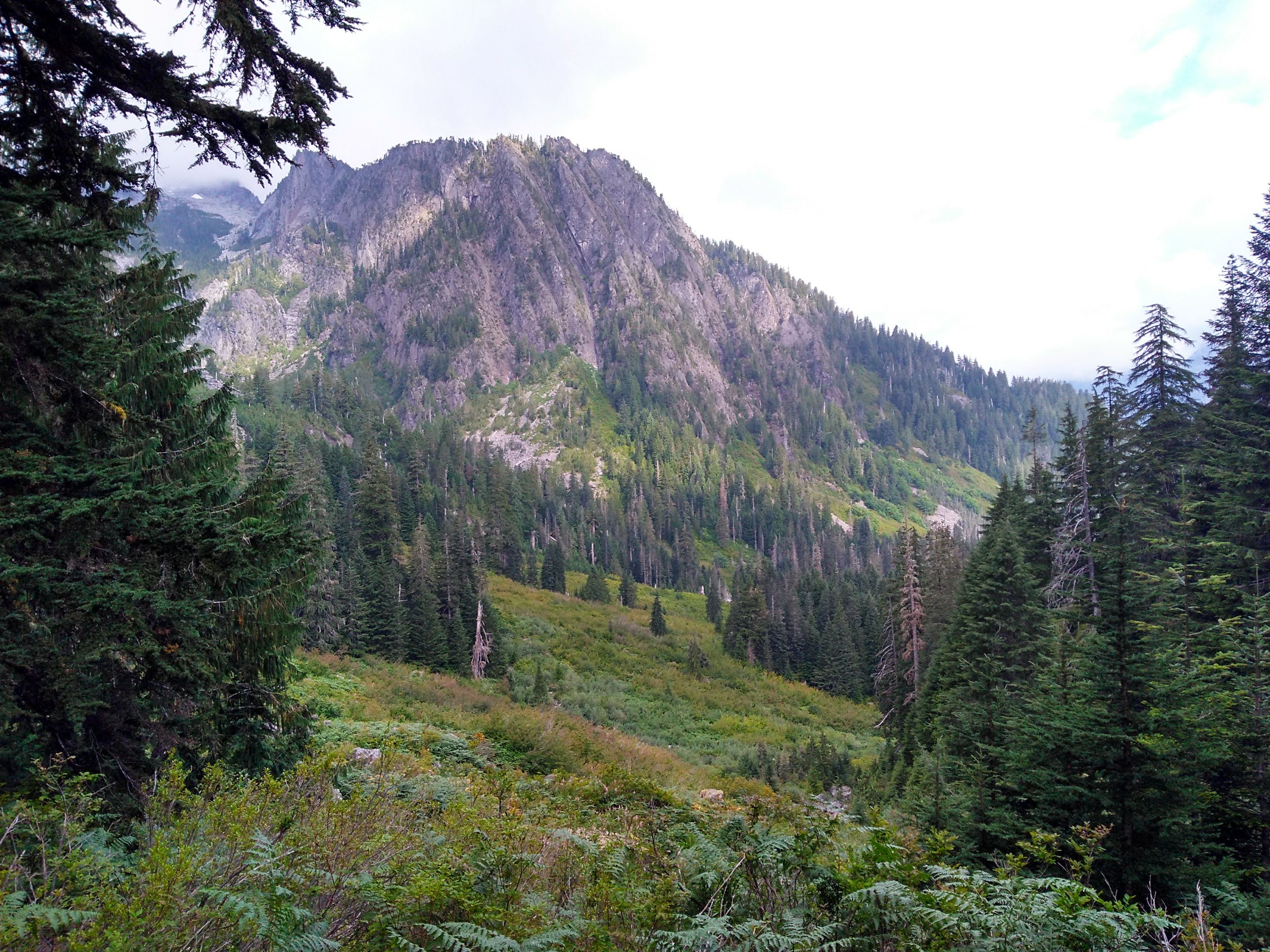 Mountain Through Trees