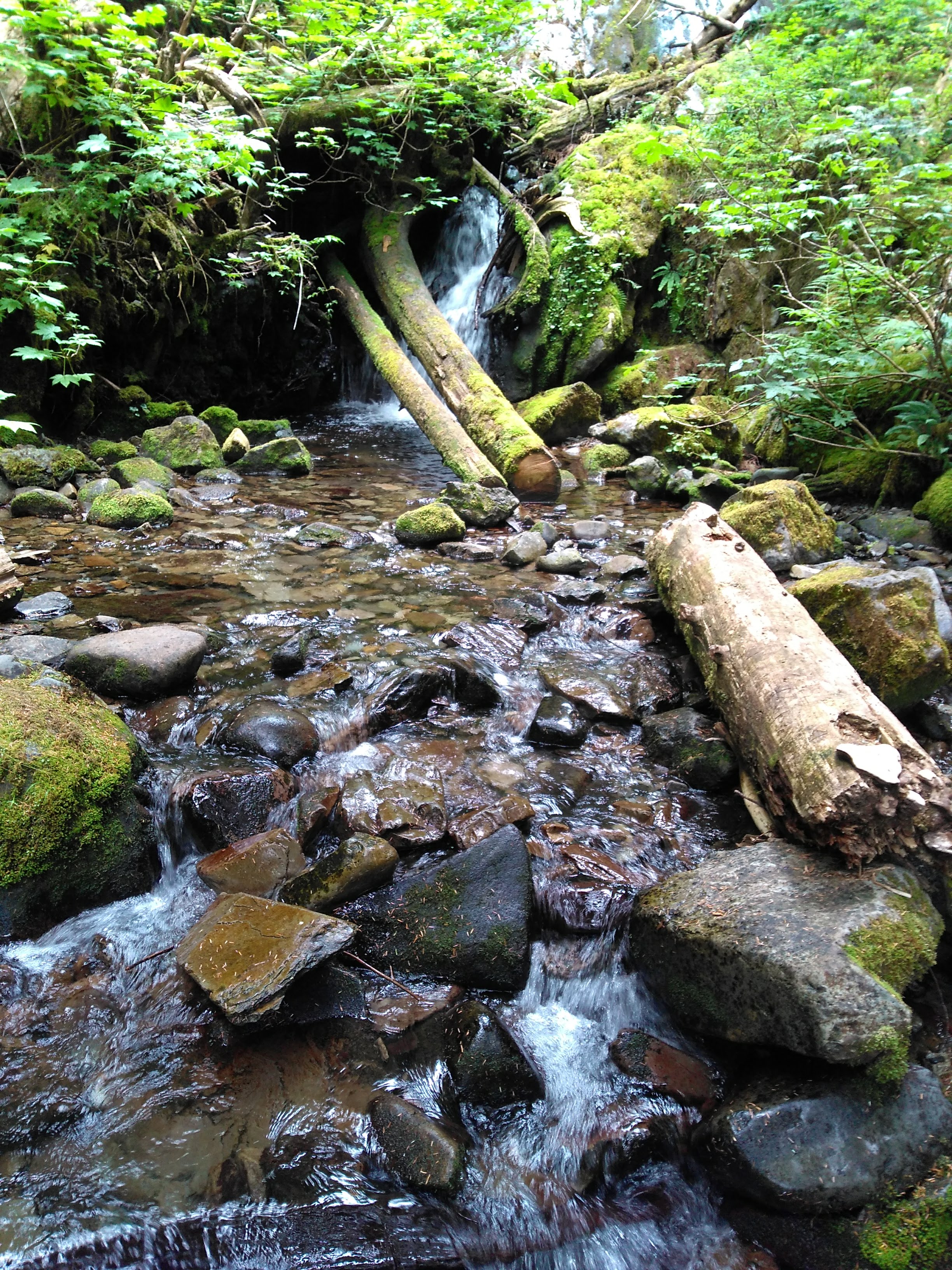 Stream