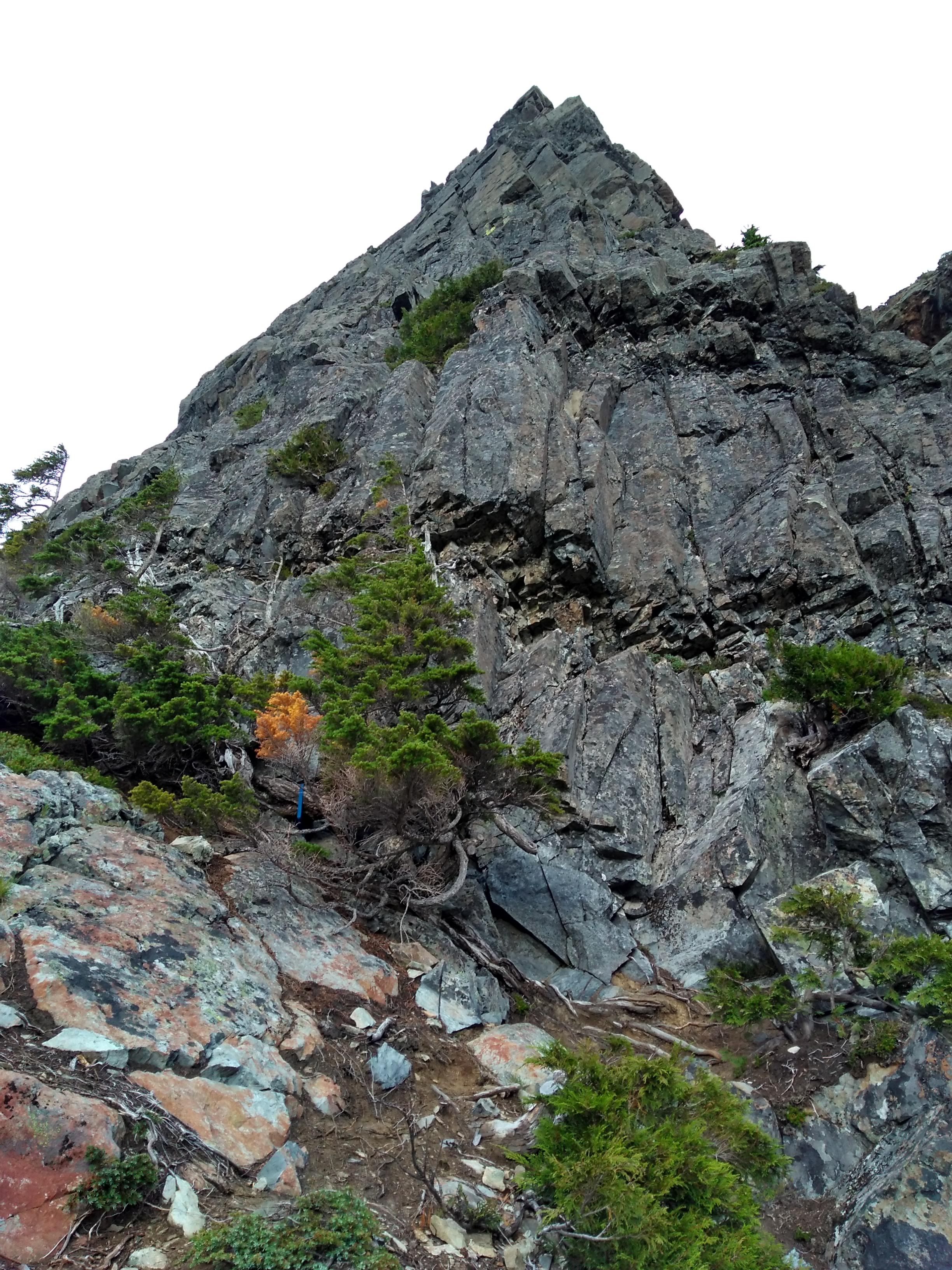 Up Pitch 3